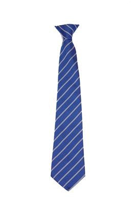 HARDWICKE CLIP ON TIE