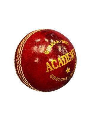 SALAMANDER ACADEMY LEATHER CRICKET BALL