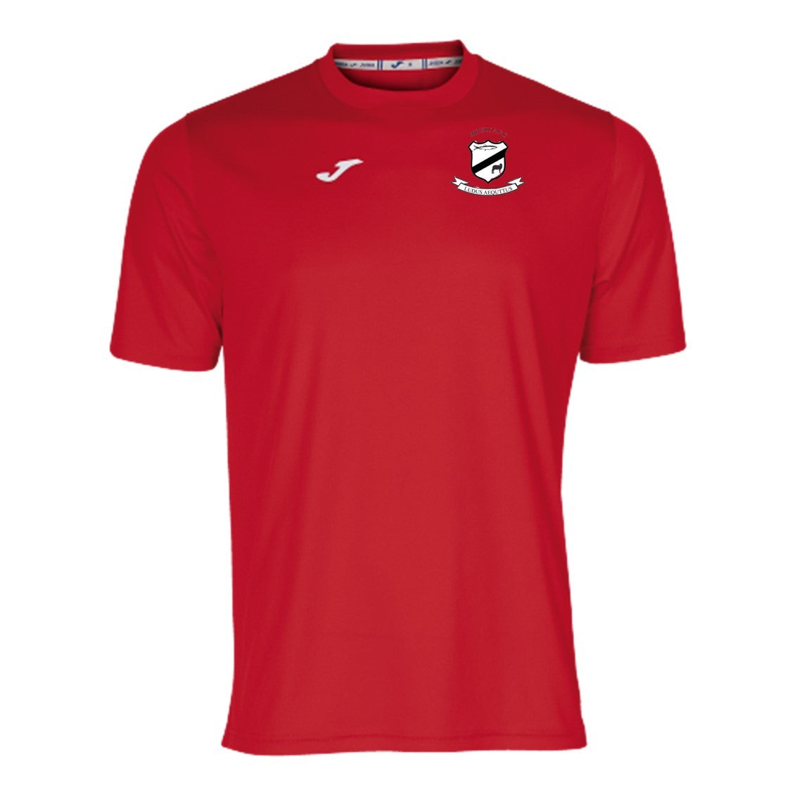 JOMA BIBURY AFC COMBI TRAINING TEE