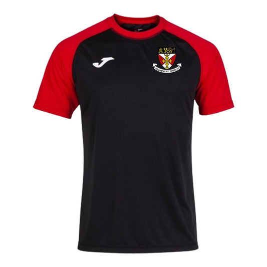 JOMA MALMESBURY YOUTH FC SENIOR TEAMWORK TRAINING TEE