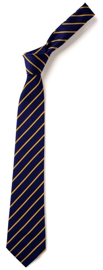 ARCHWAY SCHOOL TIE