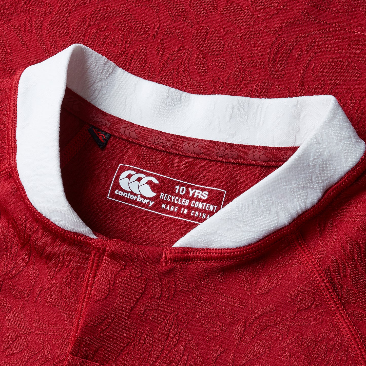 CANTERBURY JUNIOR BRITISH & IRISH LIONS REPLICA JERSEY