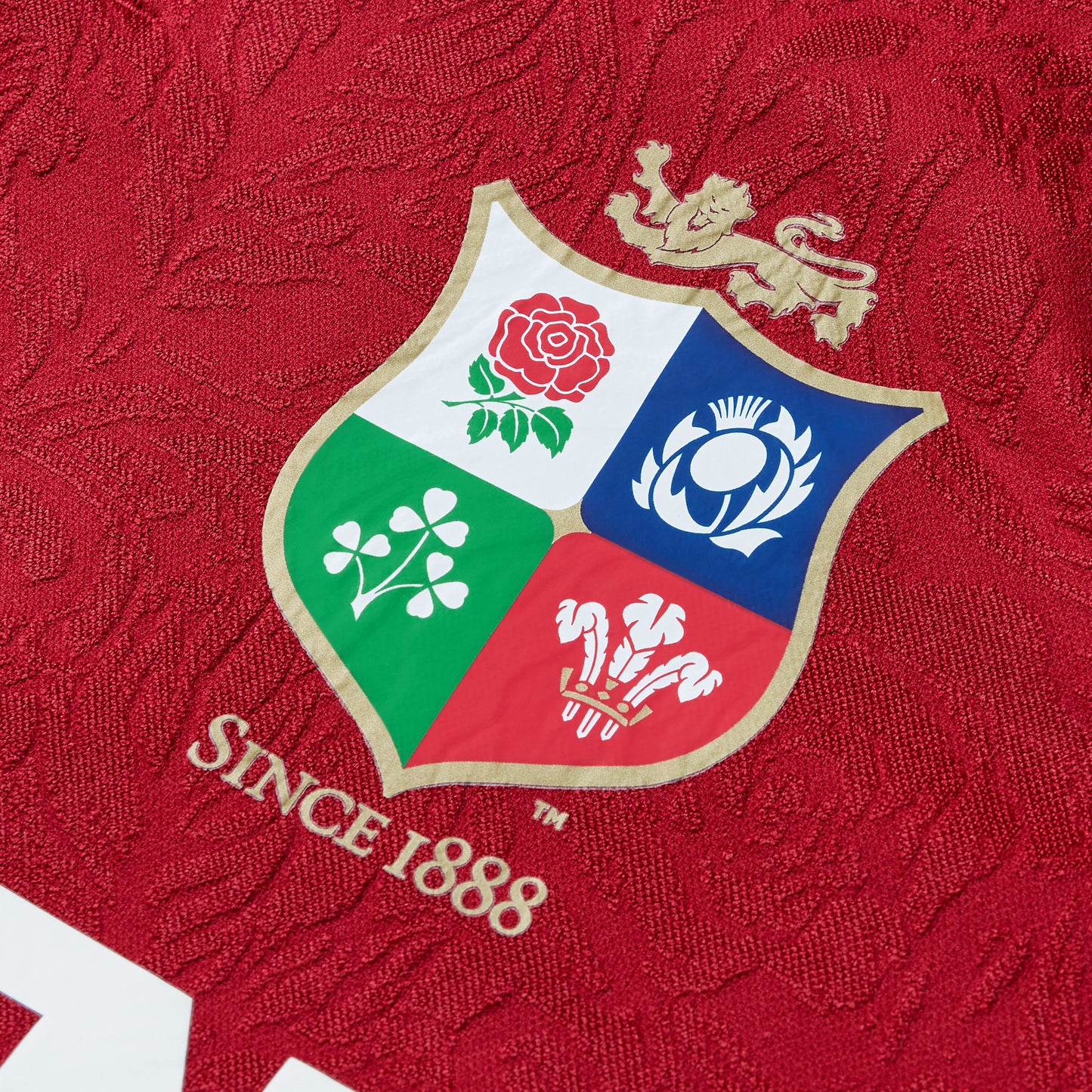 CANTERBURY JUNIOR BRITISH & IRISH LIONS REPLICA JERSEY