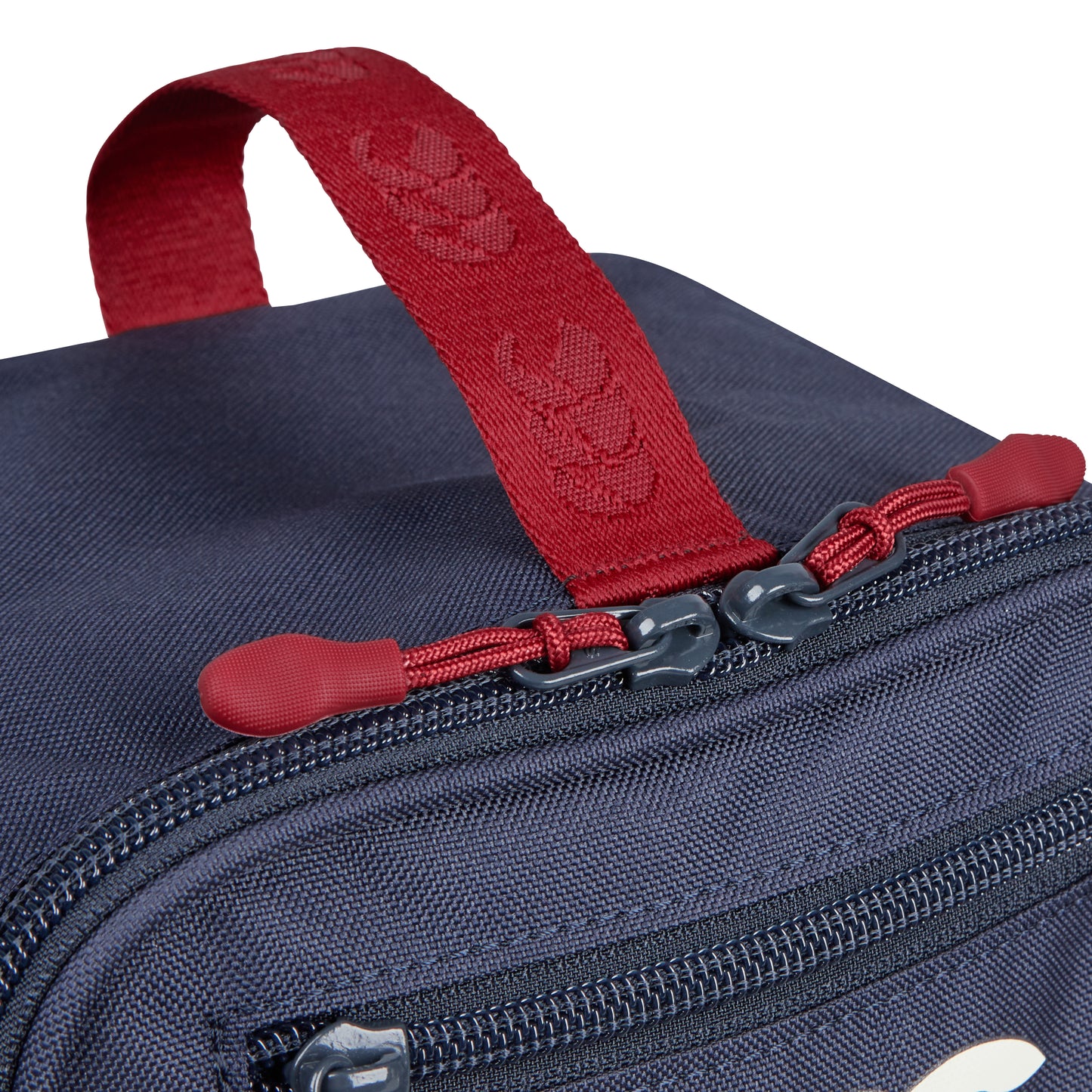 CANTERBURY BRTISH & IRISH LIONS BOOTBAG